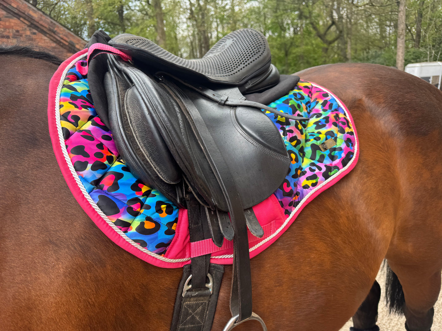 Black&Bay Leopard Print Rainbow Saddle Pad Set