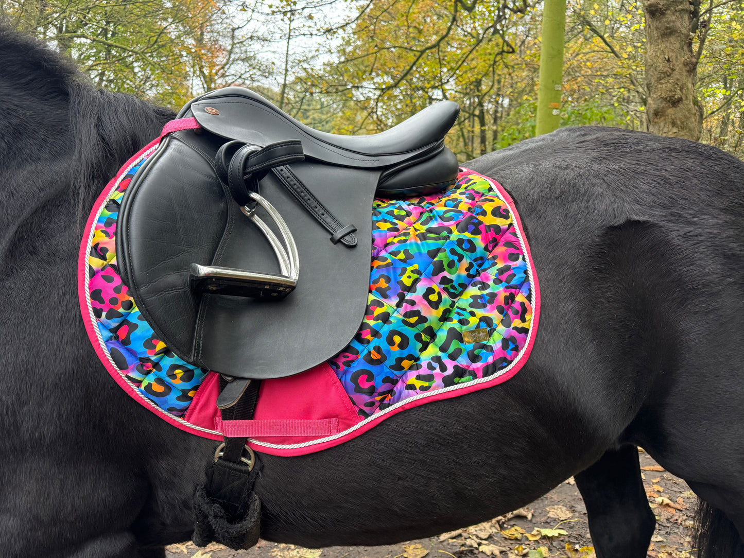 Black&Bay Leopard Print Rainbow Saddle Pad Set