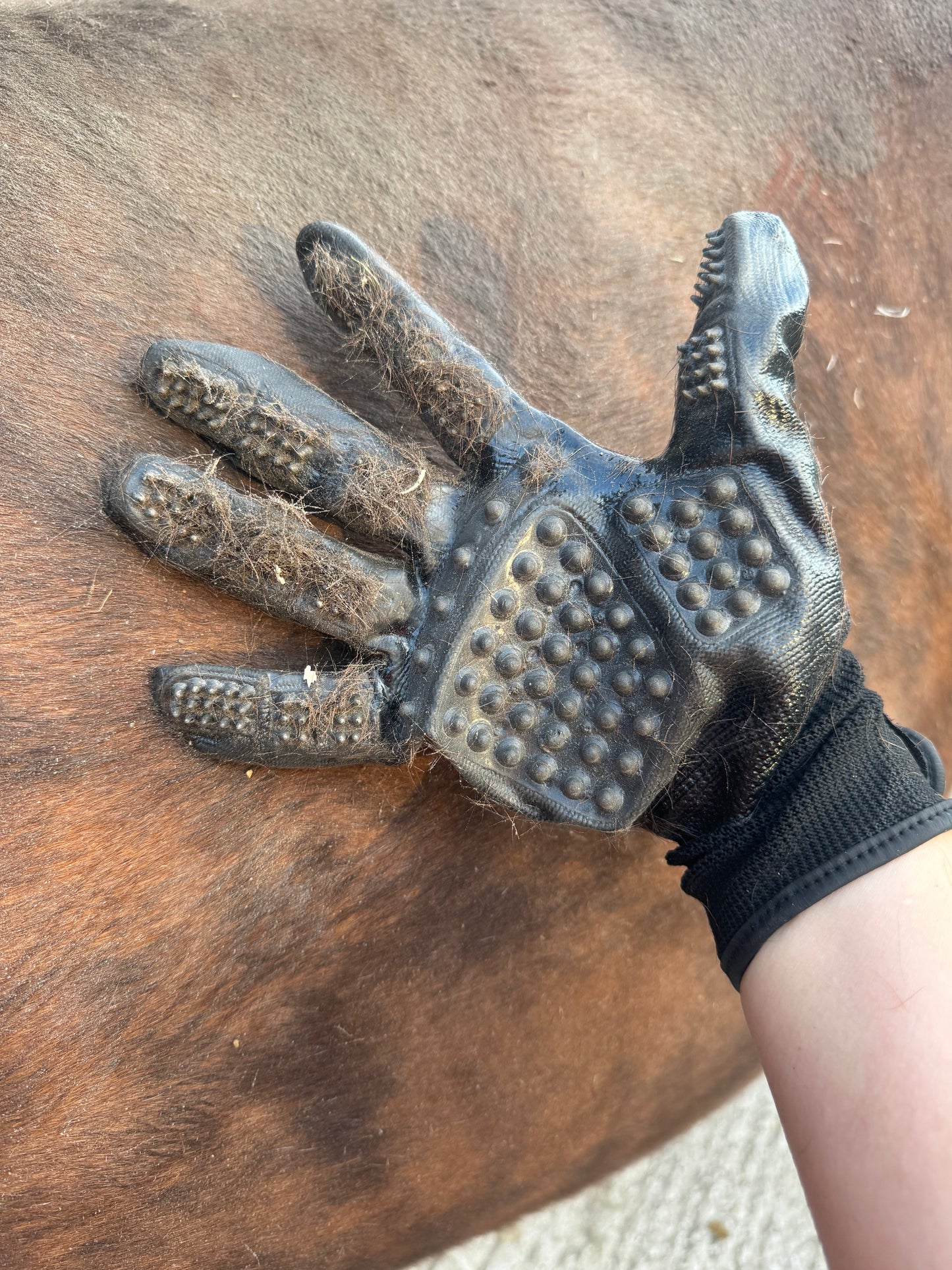 Grooming Gloves