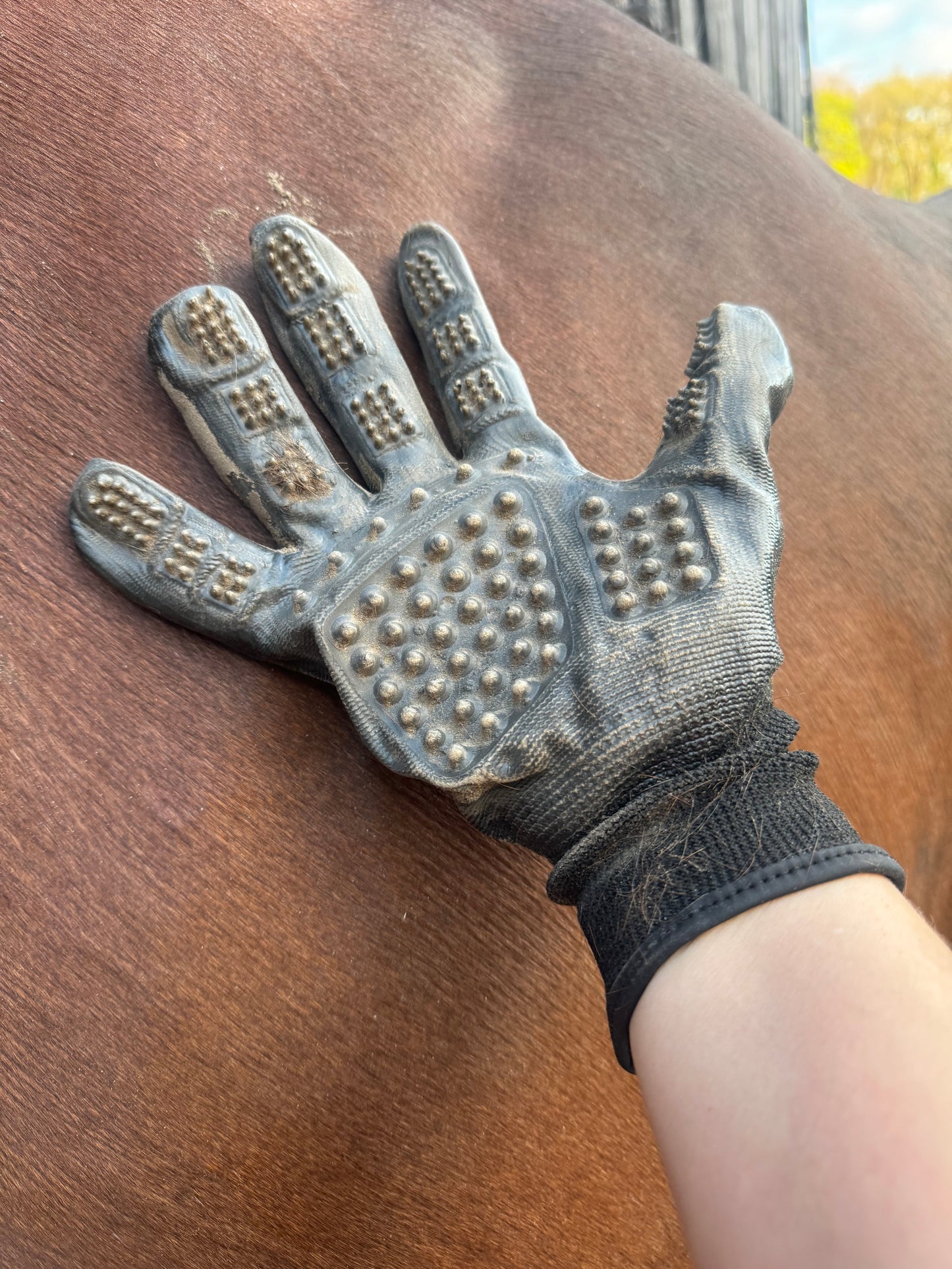 Grooming Gloves