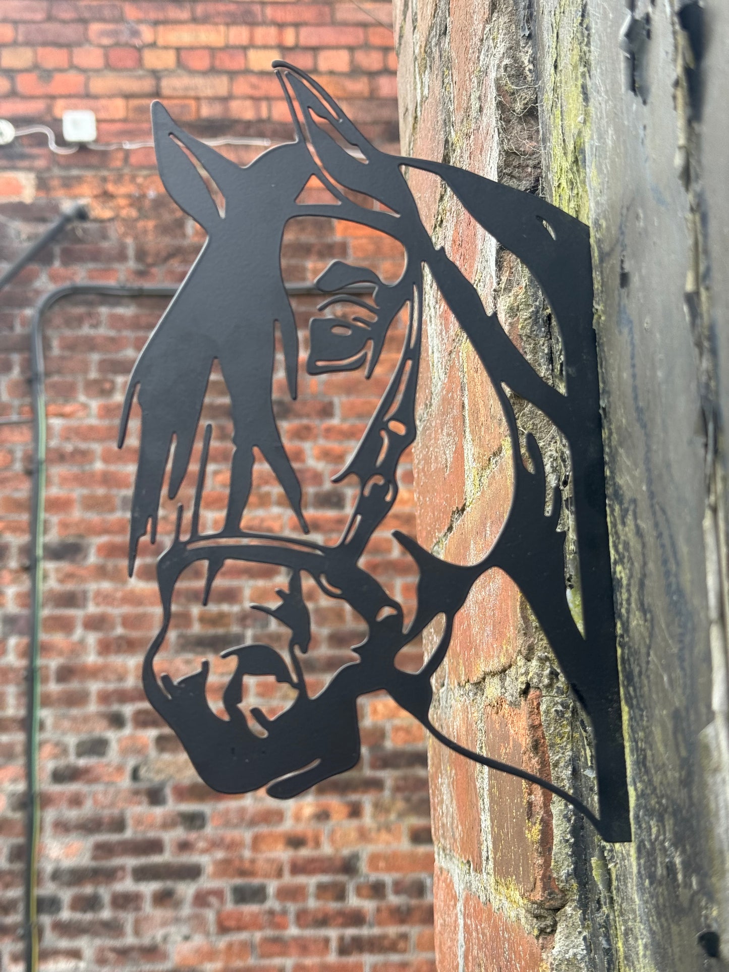 Black Metal Horse Head Peekaboo Sign