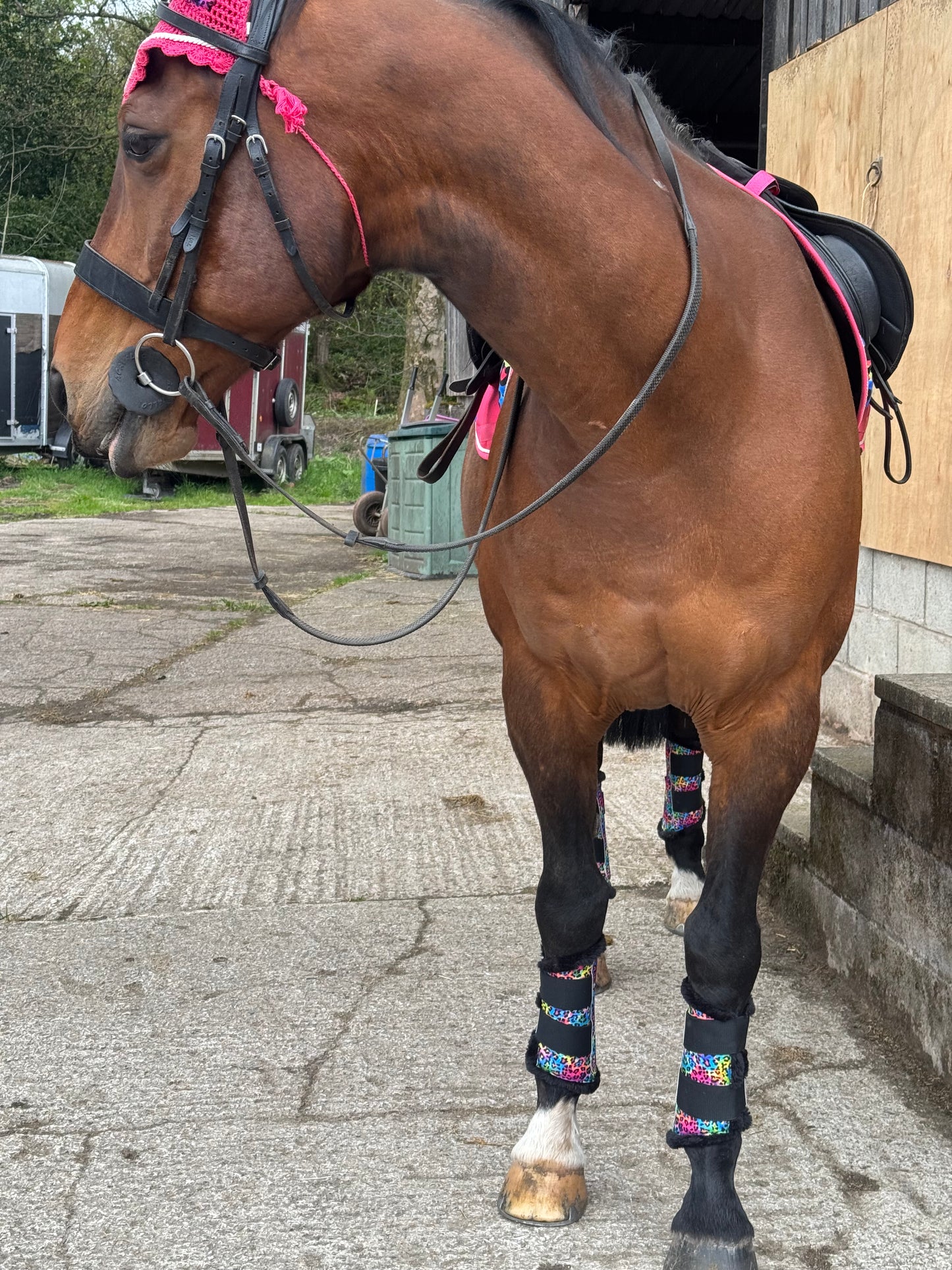 Black&Bay Leopard Print Rainbow Saddle Pad Set