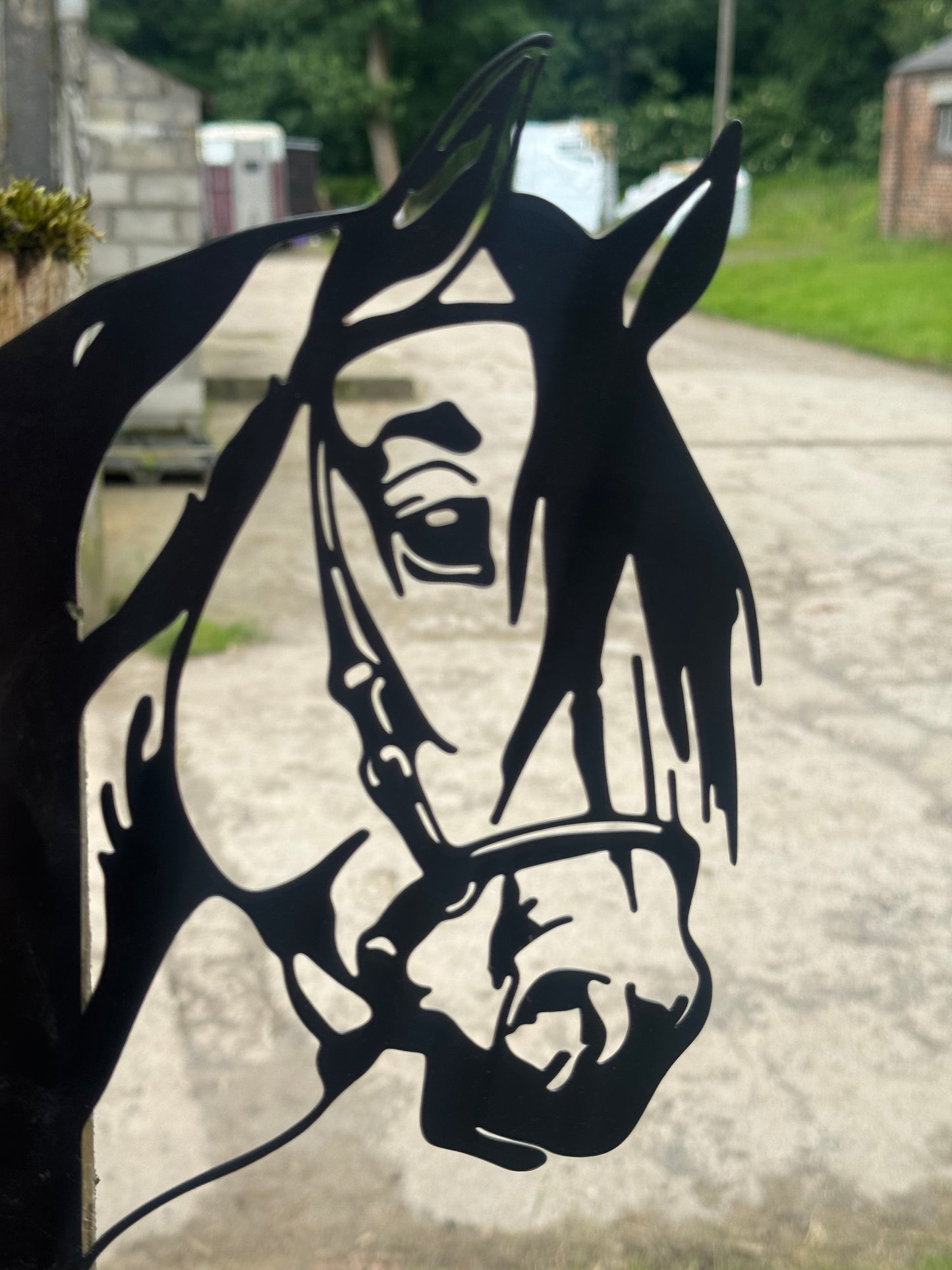 Black Metal Horse Head Peekaboo Sign