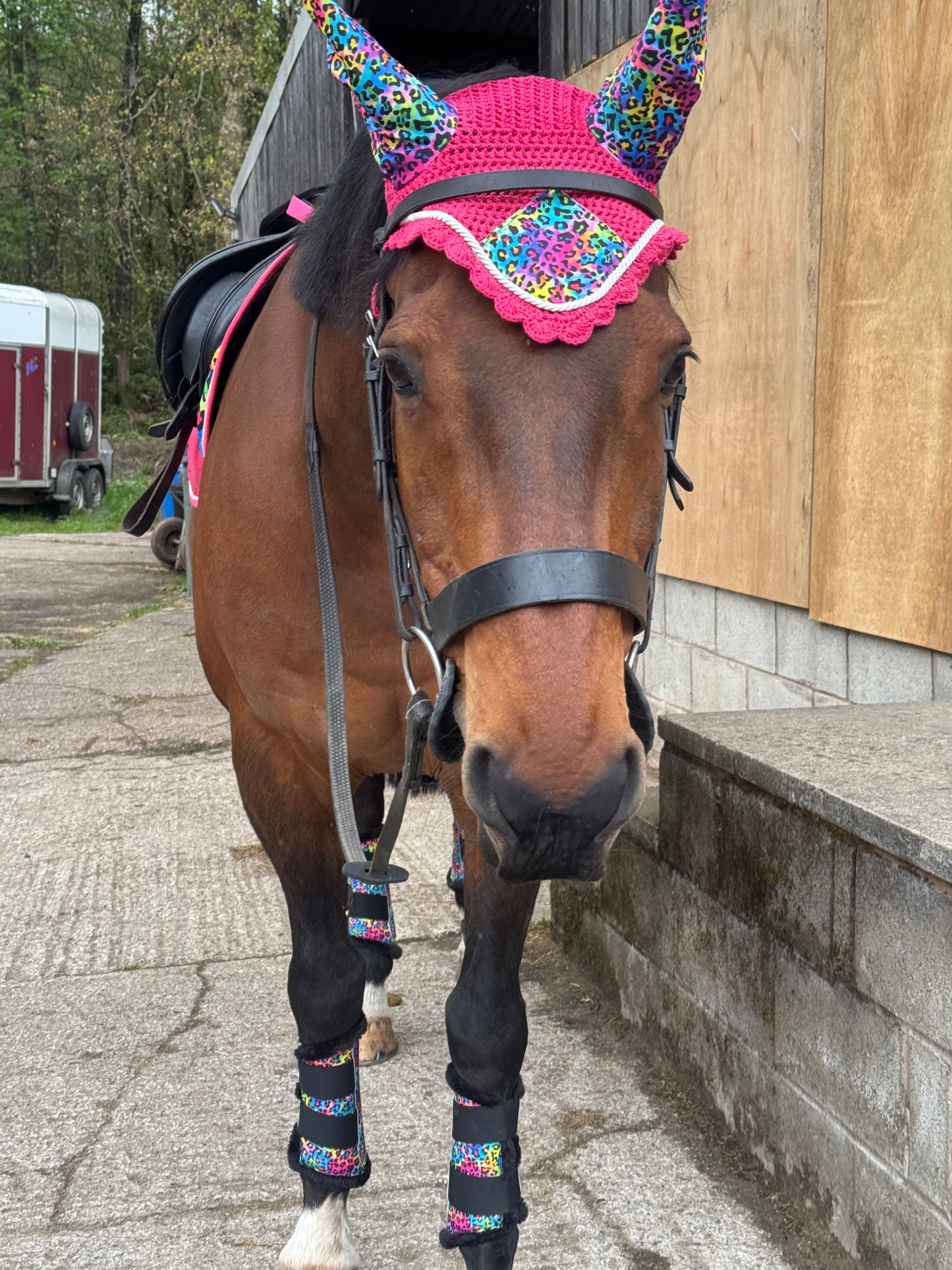Black&Bay Leopard Print Rainbow Saddle Pad Set