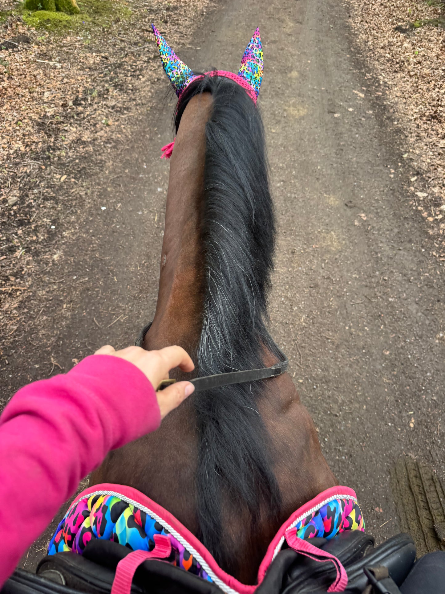 Black&Bay Leopard Print Rainbow Saddle Pad Set