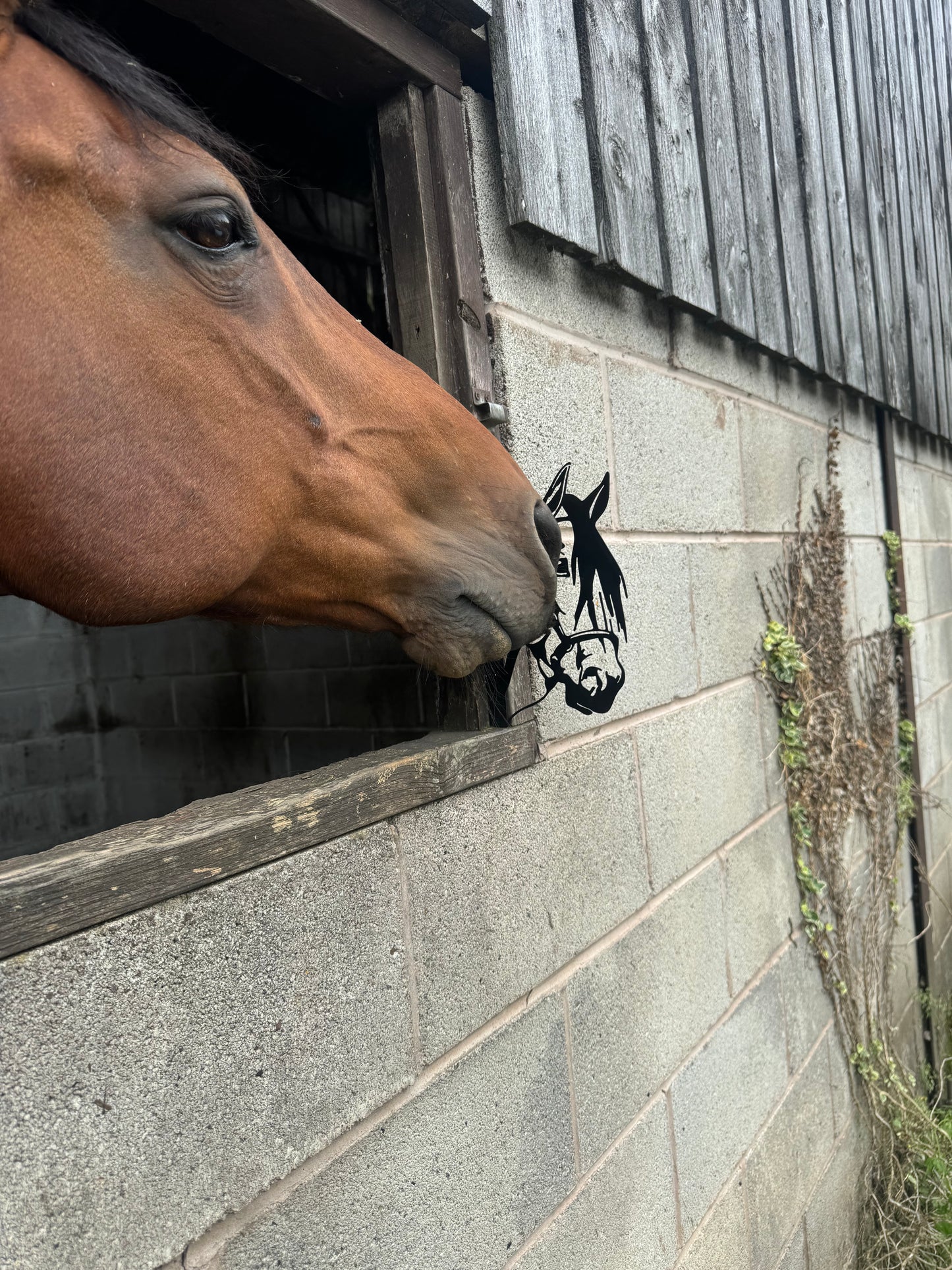 Black Metal Horse Head Peekaboo Sign