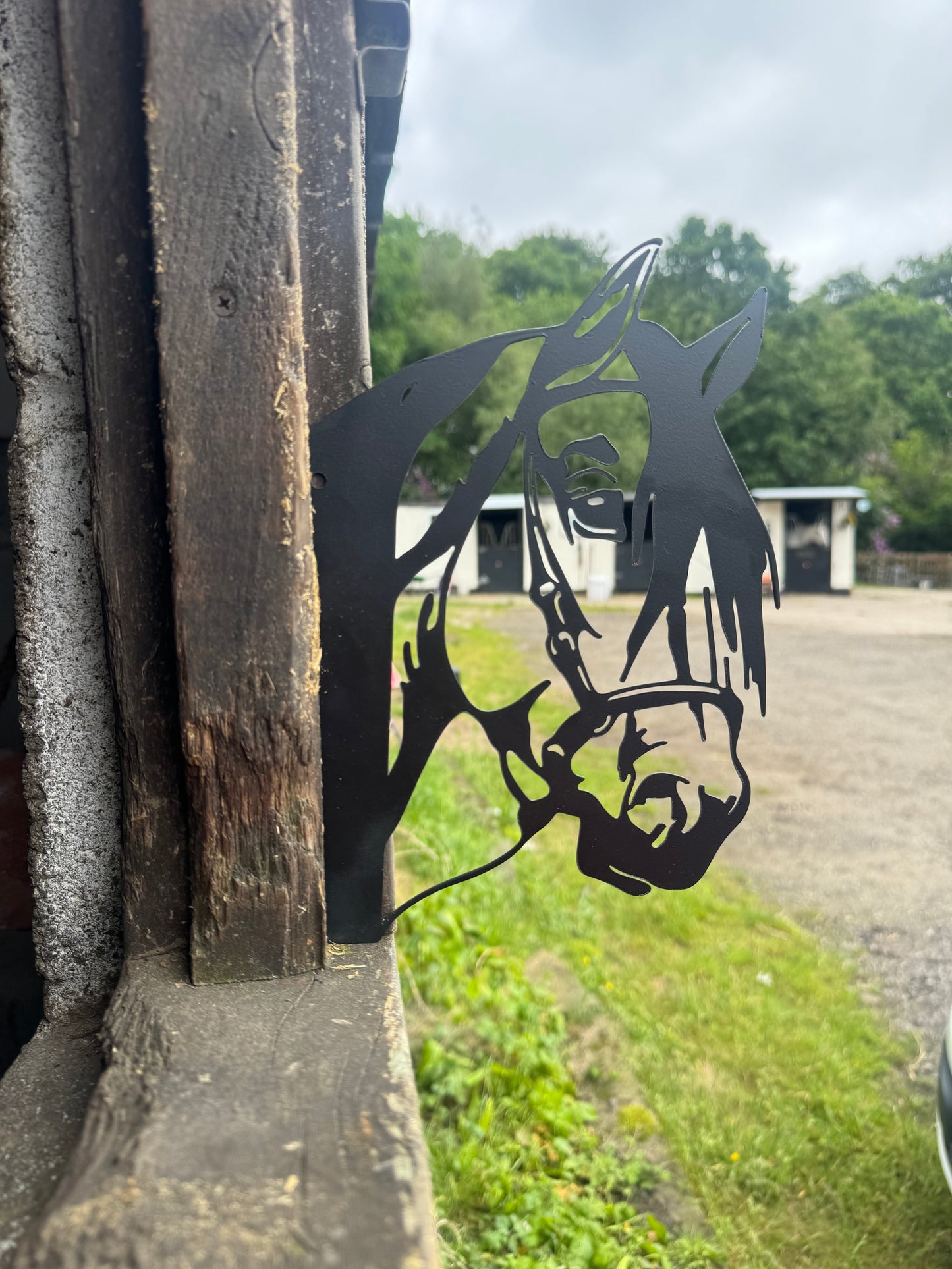 Black Metal Horse Head Peekaboo Sign
