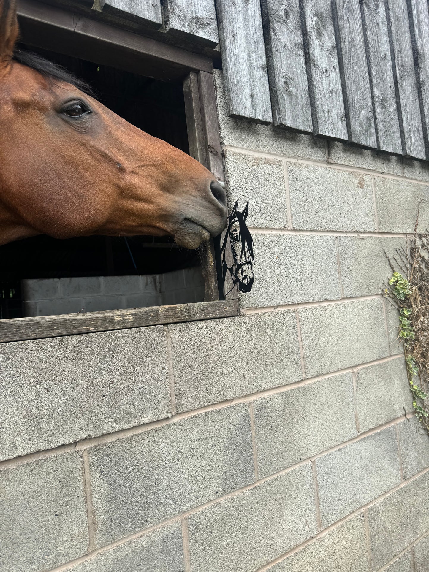Black Metal Horse Head Peekaboo Sign