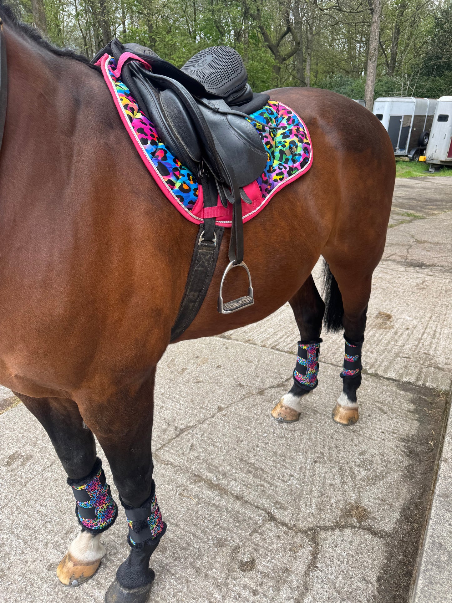 Black&Bay Leopard Print Rainbow Saddle Pad Set