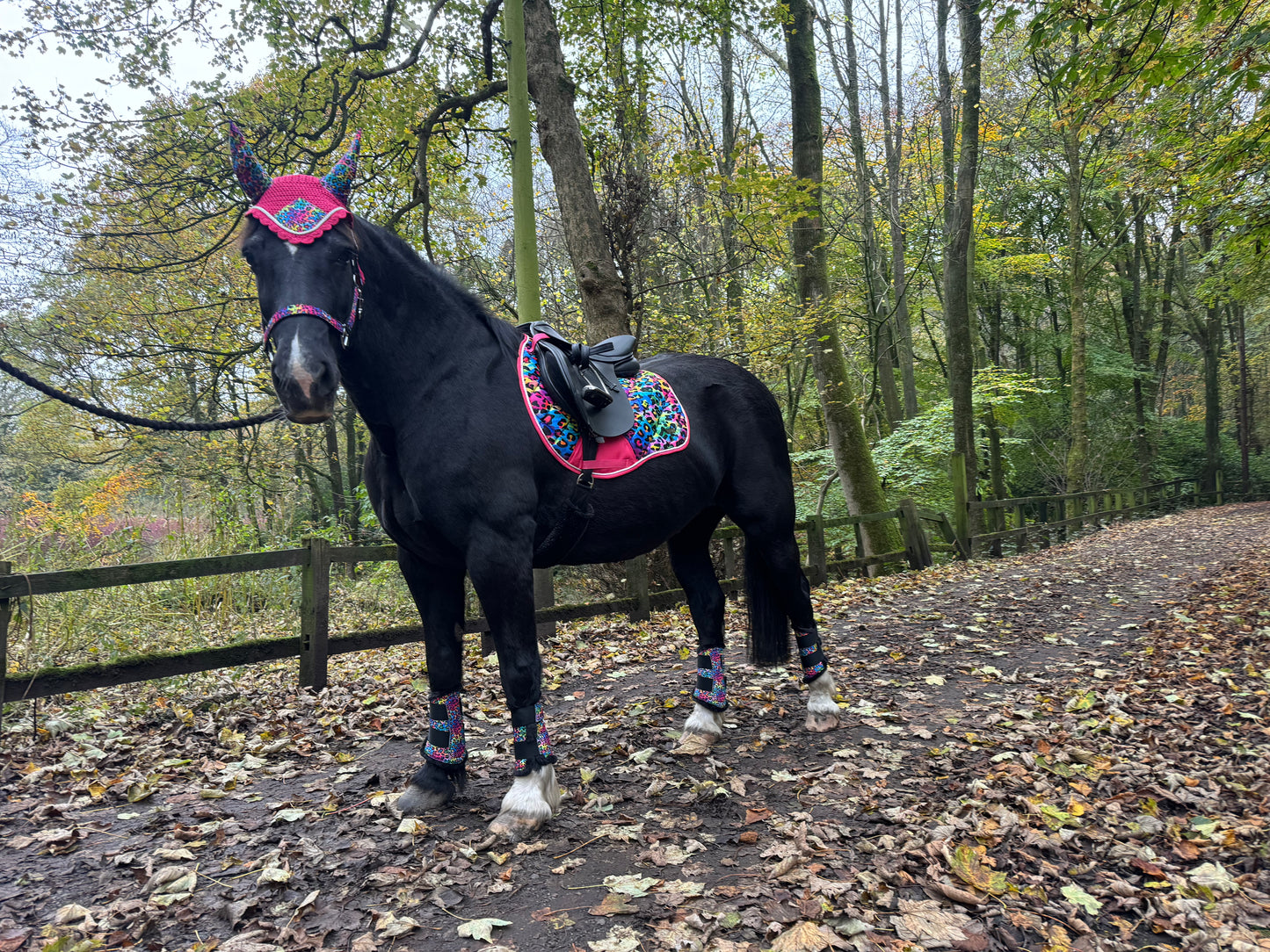 Black&Bay Leopard Print Rainbow Saddle Pad Set