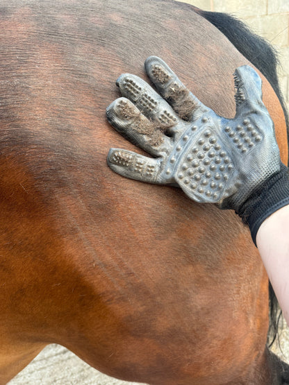 Grooming Gloves