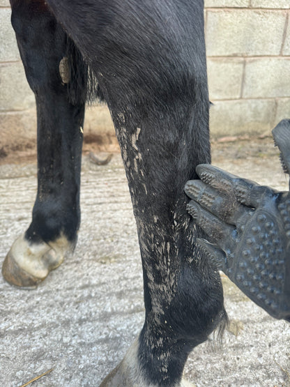 Grooming Gloves
