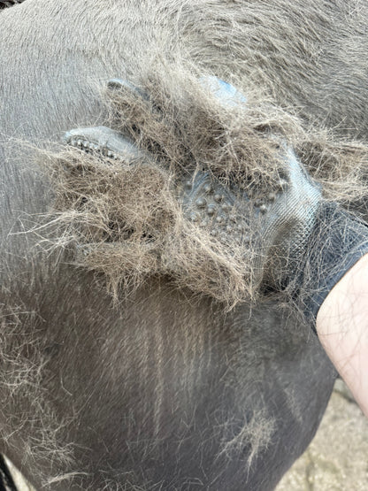 Grooming Gloves