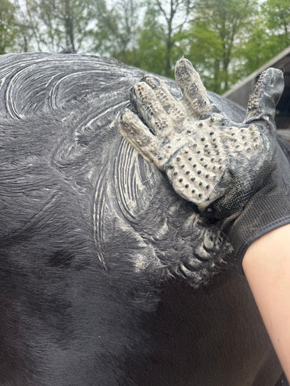 Grooming Gloves