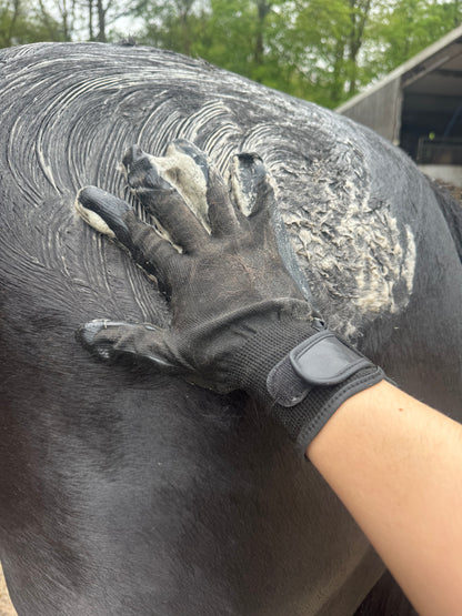 Grooming Gloves